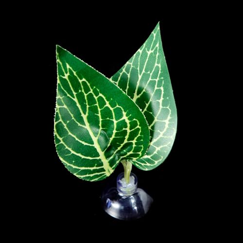 Suction Cup Pad Resting Bed for Bettas Fish Hammock Fishtanks Spawning Ground Aquariums Breeding Supply Fishtanks Ornament