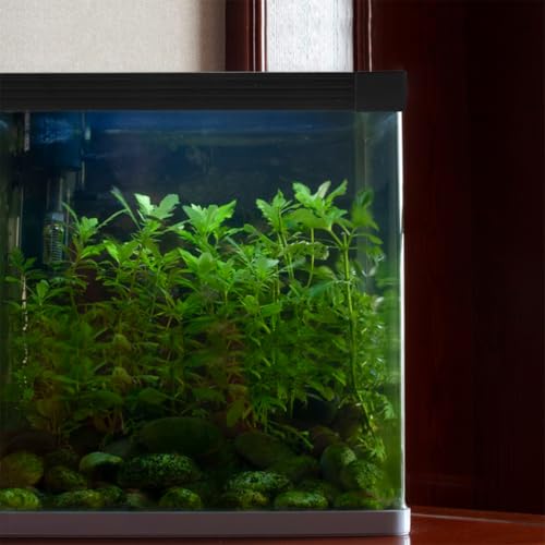 Toddmomy Fish Tank Edge Protector Strip Safety Guard Aquarium Edge Sealing Easy to Install Corner Guards