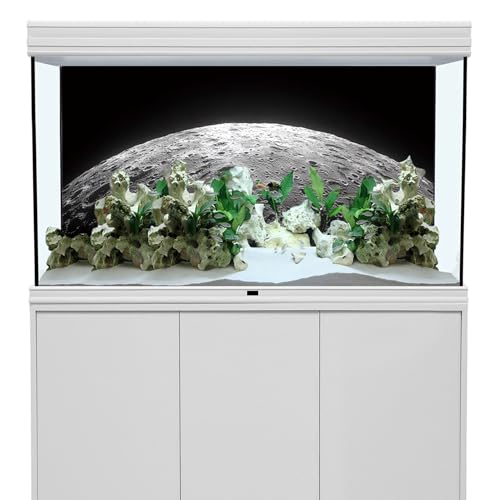 AWERT 36x24 inches Aquarium Background Moon Surface Space Planets Fish Tank Background Polyester Terrarium Background - size: 36x24in/90x60cm