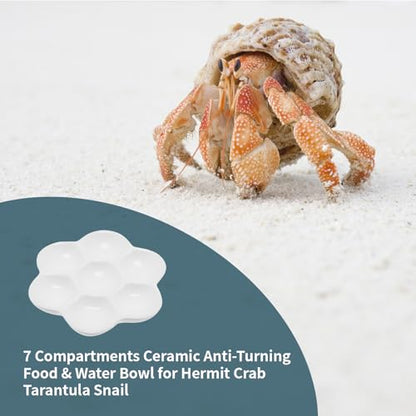 4.53" Hermit Crab Ceramic Food Dish,7 Compartments Ceramic Anti-Turning Food & Water Bowl for Hermit Crab Tarantula Snail - size: 4 inch