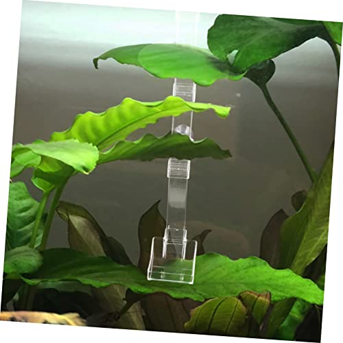 BESPORTBLE 1pc Fish Feeder Tube Sinking Feeding Dish for Shrimp and Fish Aquarium Supplies Reduces Food to Clean Design Feeding Tool