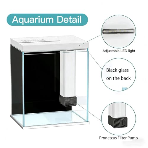 2 Gallon Glass Betta Fish Tank with Heater Filter and Light, Self-Cleaning Small Aquarium Starter Kits