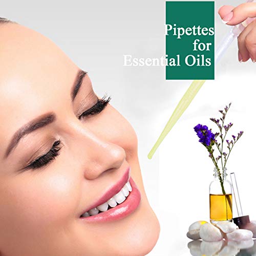 𝟭𝟱𝟬𝟬𝗣𝗰𝘀 𝟯𝗺𝗹 Plastic Pipettes - Disposable Eye Dropping Pipettes for Lab Science, Essential Oil, Home Use, Science Class, DIY Art, Medicine - size: 3ML