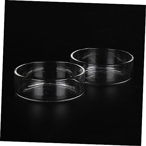 BESPORTBLE 3pcs Round Shrimp Feeder Dish Crystal Transparent Bowl for Aquarium Shrimp and Reptiles Durable Pet Food Bowl Decorative Feeding Container for Fish Tanks - size: Size 1