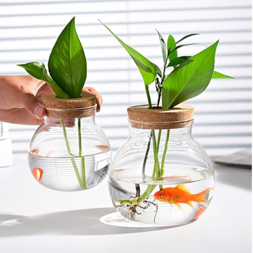 Small Fish Bowl, Cute Betta Tank, High Clear Fish Glass Bowl, Desktop Mini Aquarium Vases for Betta Fish and Hydroponic Plants, Plants Propagation Station, Home Office Table Decorations - size: 0.5 Gallon