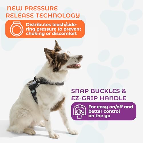 Joyride Dog Harness 2.0 | No-Pull | Black 2.0 | XL | Reflective no-choke quick-fit vest with 3 leash clips and escape-resistant design for easier walks and training - color: Black 2.0, size: XL