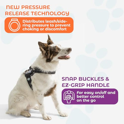 Joyride Dog Harness 2.0 | No-Pull | Black 2.0 | XL | Reflective no-choke quick-fit vest with 3 leash clips and escape-resistant design for easier walks and training - color: Black 2.0, size: XL