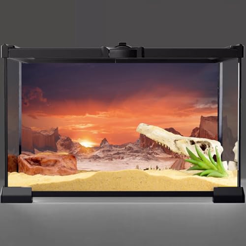 AWERT 30x12 inches Sun and Desert Terrarium Background Orange Reptile Habitat Background Durable Polyester Background - size: 30x12in/75x30cm