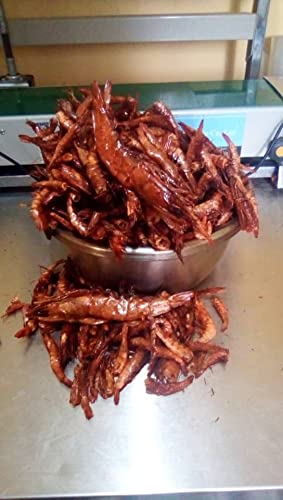 Colour Flavour Dried Red Shrimps (Oporo) 100g | Premium Nigerian Dried Seafood | Natural Smoked Red Prawns for Cooking & Seasoning | High-Protein, Rich Shrimp Flavor