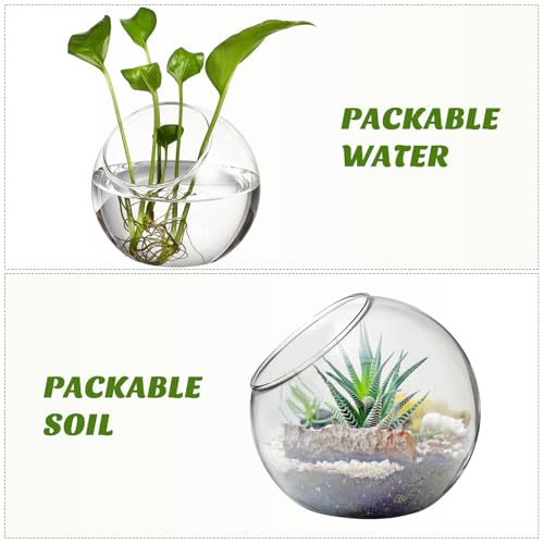 balacoo 3 Pcs Glass Terrariums Bowl for Plants, Terrarium Jar for Air Plant Clear Globe Vase Glass Bowl for Home Desktop Decor | Modern slant-cut design adds elegance to home or office. Transparent glass displays succulents and moss for a stunning view.