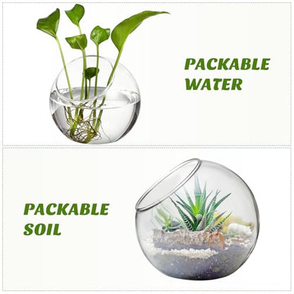 balacoo 3 Pcs Glass Terrariums Bowl for Plants, Terrarium Jar for Air Plant Clear Globe Vase Glass Bowl for Home Desktop Decor | Modern slant-cut design adds elegance to home or office. Transparent glass displays succulents and moss for a stunning view.
