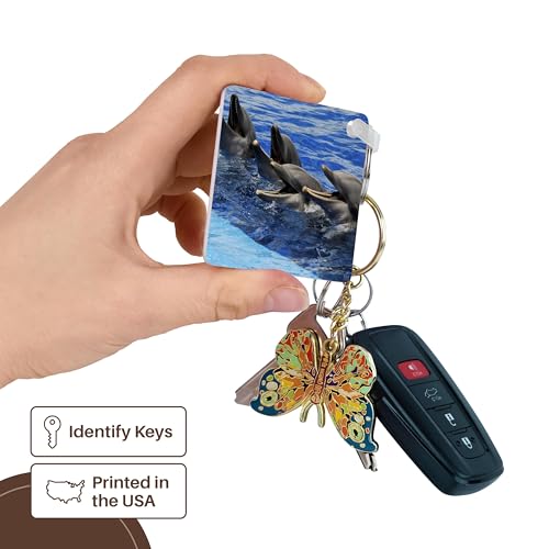 3dRose, Four dolphins on surface of the water at Oceanographic Aquarium in Valencia, Spain, Key Chain
