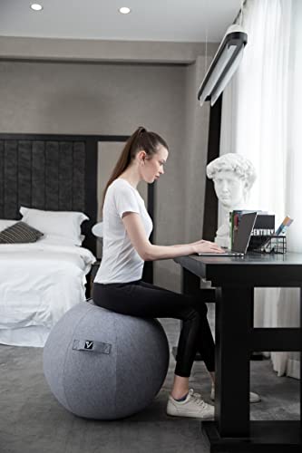 Sitting Ball Chair for Office and Home, Pilates Exercise Yoga Ball with Cover for Balance, Stability and Fitness, Ergonomic Posture Exercise Ball Seat with Handle and Pump - color: Snow