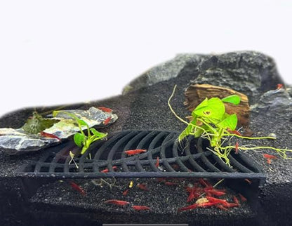 Shrimp Breeding Hide | Shrimp Cave | Shrimp Hide | Tunnel | Black