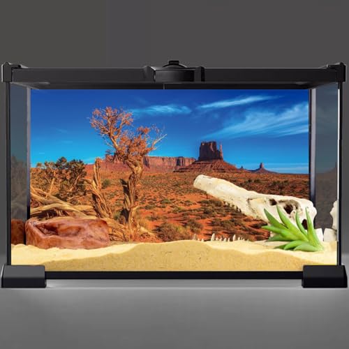 AWERT 48x24 inches Blue Sky Oasis Cactus Sun and Desert Terrarium Background Orange Reptile Habitat Background