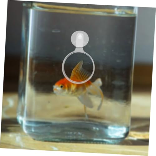 Abaodam Acrylic Aquarium Viewer with Cup for Clear Observation of Small Animals and Plants Fish Tank Tool for Enhanced Detail and Easy Use
