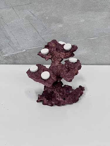 Coral Plug Holder, Natural Rock Frag Coral Growth (Purple, Small) - color: Purple, size: Small