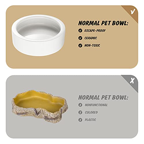 Worm Dish - Large 2 Pcs Reptile Food & Water Bowl for Lizard, Gecko, Chameleon, Hermit Crab, Bearded Dragon & More - Ceramic Anti-Escape Mini Reptile Feeder