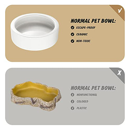 Worm Dish - Large 2 Pcs Reptile Food & Water Bowl for Lizard, Gecko, Chameleon, Hermit Crab, Bearded Dragon & More - Ceramic Anti-Escape Mini Reptile Feeder