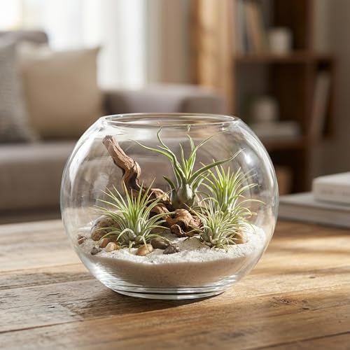 WGV Bowl Glass Vase, Diameter 5.1", Height 3.75", Open Width 3", (Multiple Sizes Choices) Clear Bubble Planter Terrarium Fish Bowl for Wedding Event Home Decor, 24 Pieces (VBW0005) - size: 5"Dx3.75"H 1 Case
