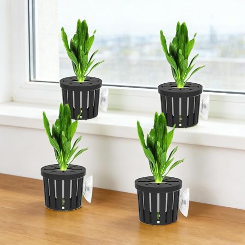 Fish Tank Plant Holder | 4 Pieces Suction Cups Cultivation Cups | Aquarium Plant Pots | for Fish Tank Betta Shrimp Freshwater Terrarium Home Workplace Decor