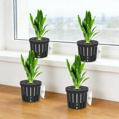 Fish Tank Plant Holder | 4 Pieces Suction Cups Cultivation Cups | Aquarium Plant Pots | for Fish Tank Betta Shrimp Freshwater Terrarium Home Workplace Decor