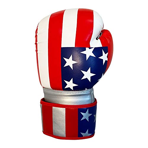 Training Boxing Gloves Plain American Russian Themes Gloves for Workouts Gym Practice - size: 16 Oz, style: American Theme