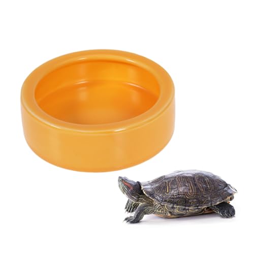 SUPVOX Floating Feeder Bowl Ceramic Food Dish for Reptiles Fish Small Pets -Escape