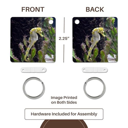 3dRose, Yellow and white seahorse aquarium animal, set of 4 Key Chains