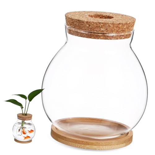 Desktop Glass Fish Bowl with Cushion Hydroponic Terrarium for Betta Fish and Plants Aquarium with Mat for Decor