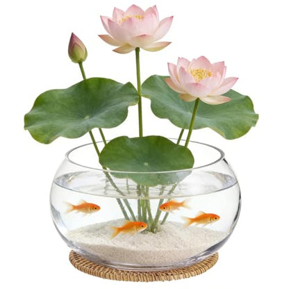 Lotus Bowl Planter with Rattan Mat, 10 in Clear Glass Hydroponic Bowl, Indoor Aquatic Plant Terrarium for Lotus and Water Greens, Transparent Decorative Lotus Pot, Fish Tank
