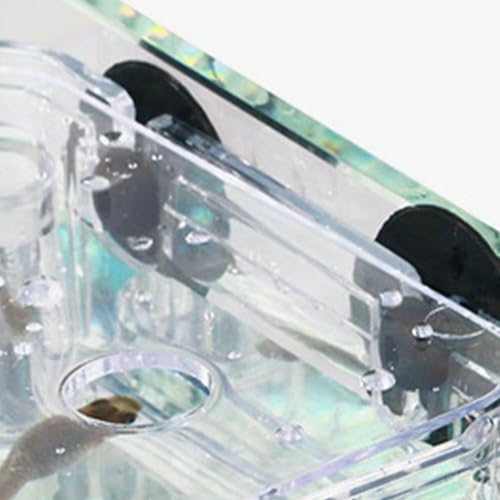 Breeder Box for Fish Tank, Transparent Floating Acclimation Hatching Incubator Box with Suction Cups, for Shrimp Guppy Platy Nursery, Hotel Lobby pet Store Cafe Aquarium Decor