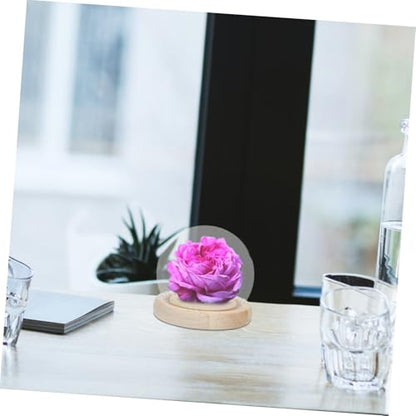 Happyyami Glass Cover Pedestal Showcase Clear Centerpiece Storage Fancy Dome Glass Display Case Flower Aquarium Glass Globe Preserved Flower Covers Display Cases for Collectibles Wood