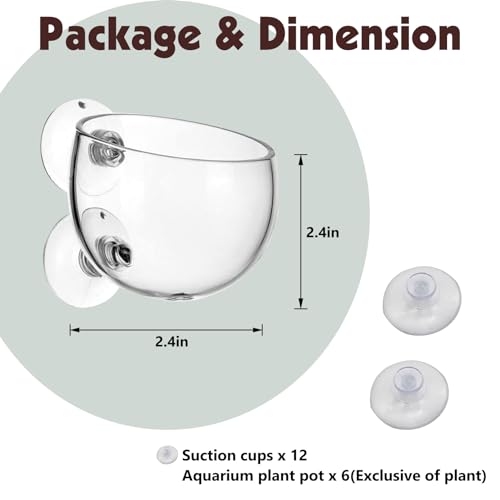 6 Pieces Aquarium Plant Holder Pot Aquarium Decor Crystal Glass Aquatic Plant Cup with Suction Cups Aquarium Fish Tank Decorations