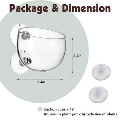 6 Pieces Aquarium Plant Holder Pot Aquarium Decor Crystal Glass Aquatic Plant Cup with Suction Cups Aquarium Fish Tank Decorations