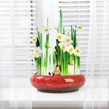 ARTKETTY Lotus Bowl Planter - 7.3 Inch Large Lotus Flower Bowl for Water Plants, Ceramic Hydroponic Planter Water Lily Bowl for Planting Aquatic and Indoor Succulent Plants and Bonsai - color: Red