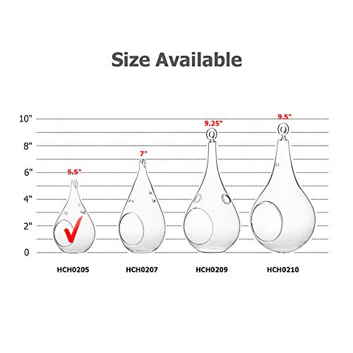 WGV Glass Hanging Plant Terrarium Bulk, Width 3", Height 5.5", Teardrop DIY Air Succulent Planter Clear Tea Light Votive Candle Holder, Wedding Event Office Home Outdoor Decor, 6 Pieces