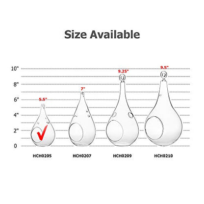 WGV Glass Hanging Plant Terrarium Bulk, Width 3", Height 5.5", Teardrop DIY Air Succulent Planter Clear Tea Light Votive Candle Holder, Wedding Event Office Home Outdoor Decor, 6 Pieces
