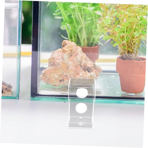 BESPORTBLE Fish Tank Feeding Tube and Food Dispenser with Suction Cup Large Square Aquarium Feeder for Precise Submerged Feeding Anti-Scattering Fish Food Holder for Shrimp and Tropical