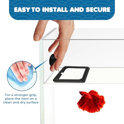 SunGrow Fish Food Feeding Ring, Stop Water Turbulence from Washing Food & Floating Plants into Filtration System, Suitable for Flakes & Floating Fish Pellets (3 Pieces)