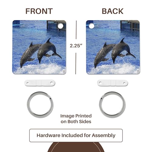 3dRose, Two dolphins finishing a dive together at Oceanographic Aquarium in Valencia, Spain, Key Chain