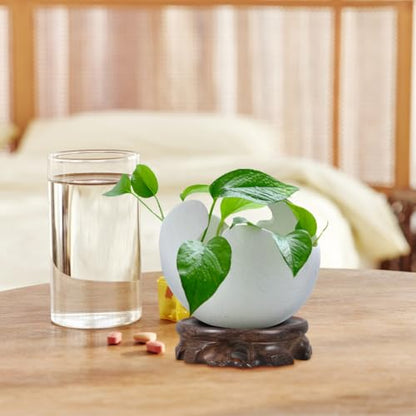 KALLORY Wooden Plant Stand Small round Planter Tray Decorative Vase Display Pedestal Blackwood Base 9.8cm Diameter 2.5cm Height for Indoor Aquarium and Bonsai