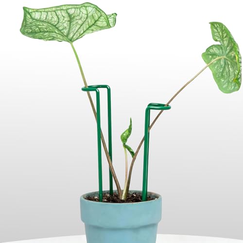 Indoor Plant Stakes – 8.7" U-Shaped Durable Iron Support for Monstera & Potted Plants, Perfect for Small to Medium Climbing Plants, 10-Pack, Ideal for Home Décor & Plant Lovers