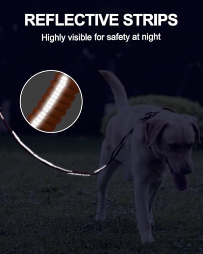 Joytale Tactical Bungee Dog Leash, Shock Absorbing No Pull, Orange - color: Orange