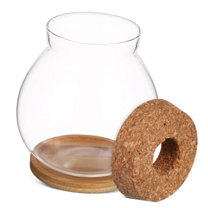 Betta Fish Tank Glass Bowl Lid and Mat for Hydroponic Plants for Desktop Decoration and Small Aquatic Environments
