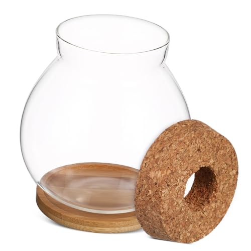 Betta Fish Tank Glass Bowl Lid and Mat for Hydroponic Plants for Desktop Decoration and Small Aquatic Environments