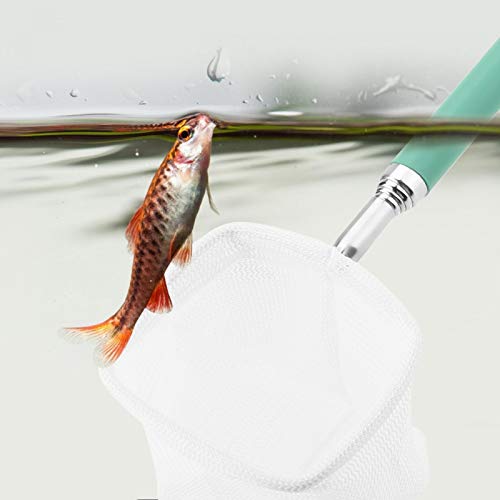 Fishing Landing Net Telescopic Aquarium Fish Shrimp Net Extendable Portable Dip Fishingnet with Stainless Steel Handle 20 to 56.5cm