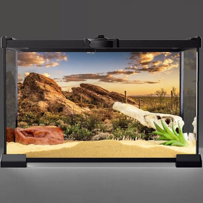 AWERT Reptile Habitat Background Blue Sky Oasis Cactus Sun and Desert Terrarium Background 24x12 inches Durable Polyester Background - size: 24x12 inches