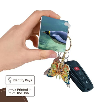 3dRose, South Africa, Cape Town, Aquarium King penguin -AF42 CMI0073 - Cindy Miller Hopkins, Key Chain