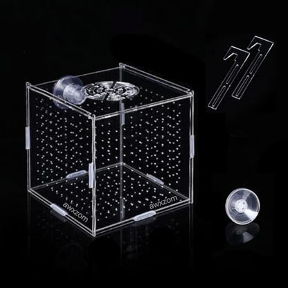 Acrylic Fish breeding Box, Acrylic Fish Isolation Box, Fish Separator for Aquarium, Hatchery Incubator with Suction Cups for Small Baby Fishes Shrimp Clownfish Guppy (3.9 * 3.9 * 3.9inch) - size: 3.9 * 3.9 * 3.9inch